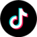 tiktok icon